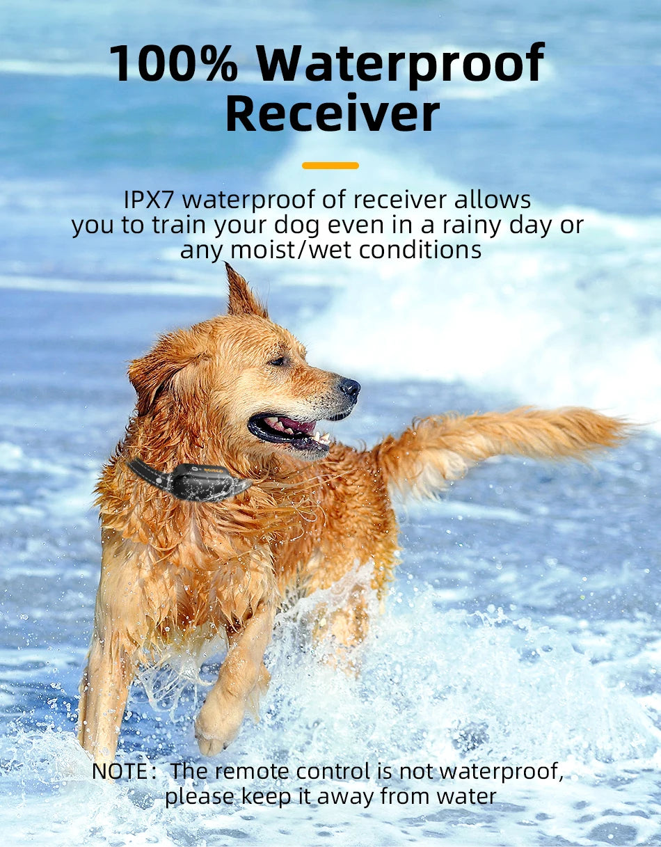 ROJECO Rechargeable Waterproof Dog Training Collar - Smarsty