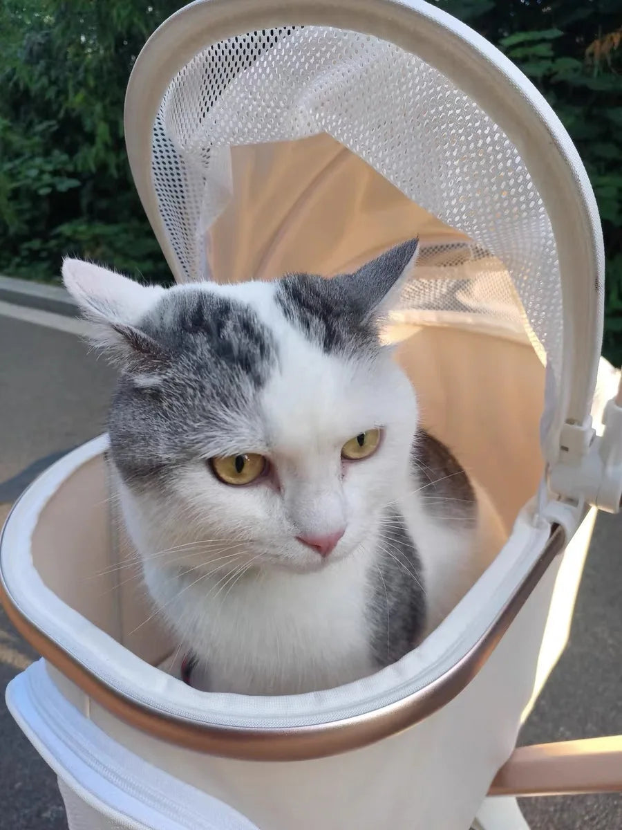 Foldable Dog and Cat Stroller for Easy Travel - Smarsty
