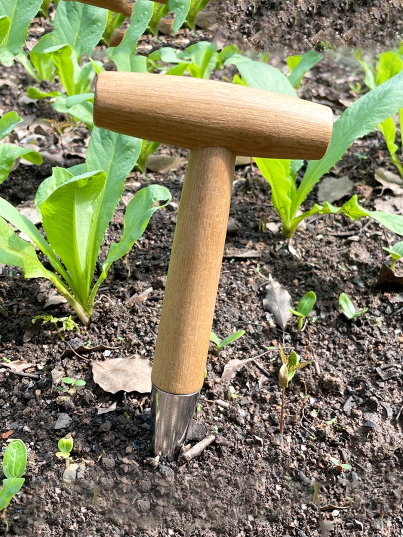 Ergonomic Gardening Hole Puncher for Easy Planting - Smarsty