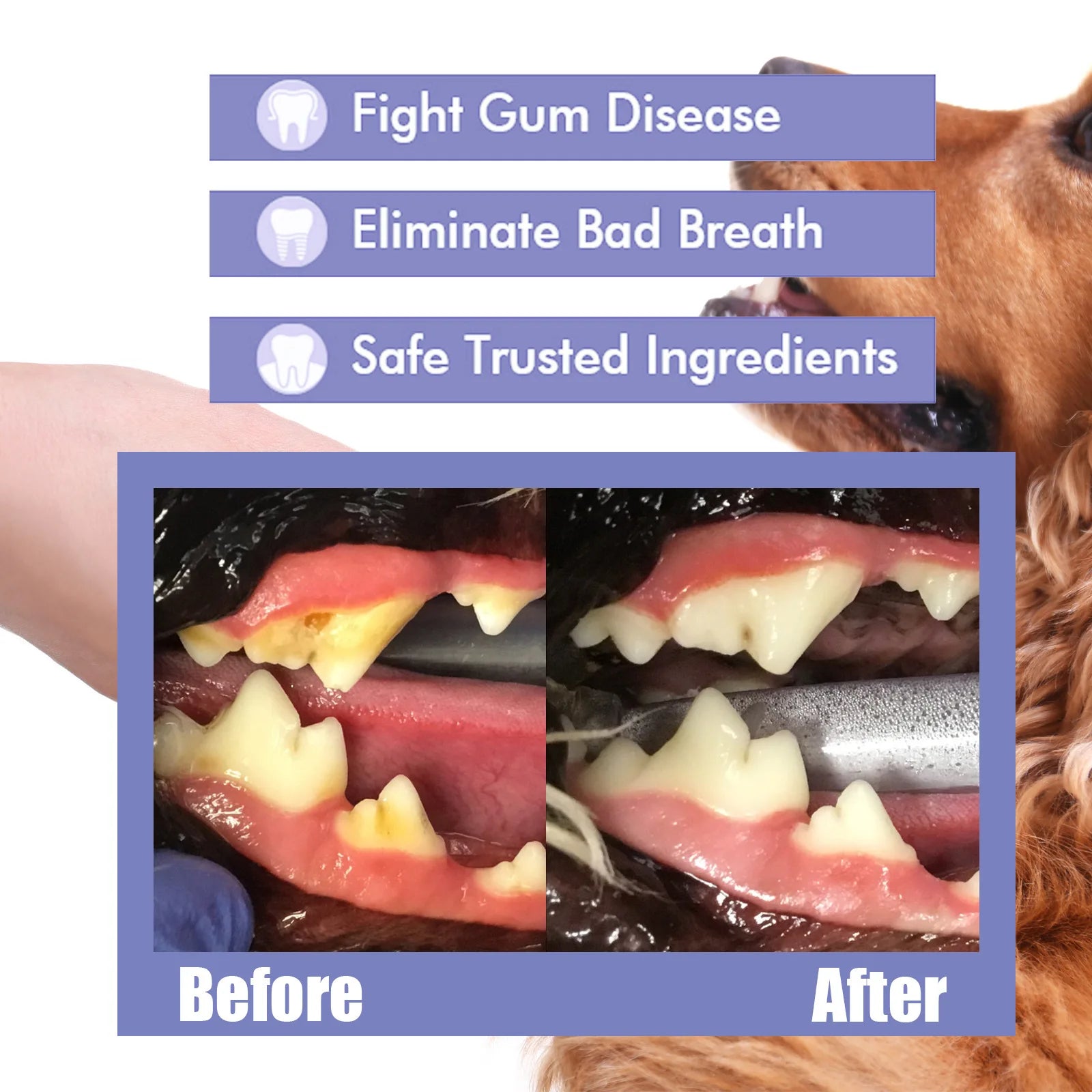 Pet Oral Cleanse Spray for Fresh Breath and Clean Teeth - Smarsty