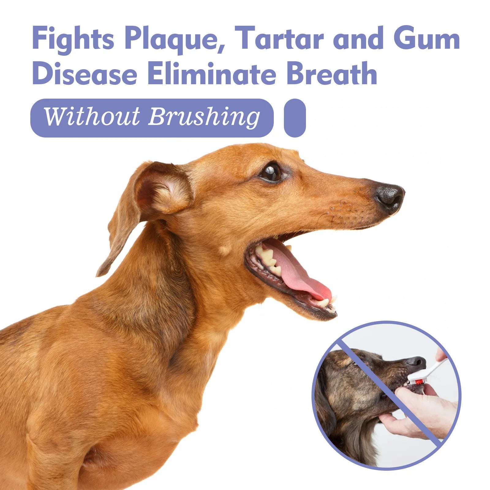 Pet Oral Cleanse Spray for Fresh Breath and Clean Teeth - Smarsty