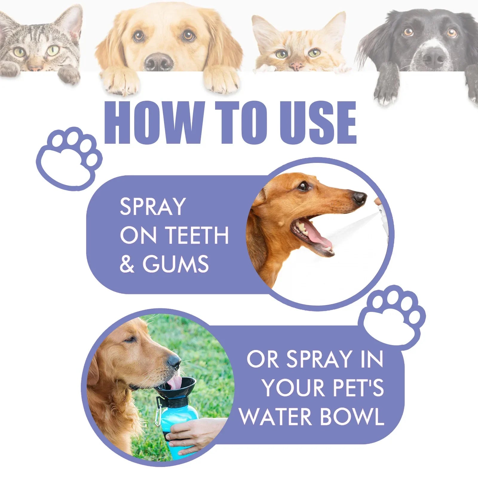 Pet Oral Cleanse Spray for Fresh Breath and Clean Teeth - Smarsty