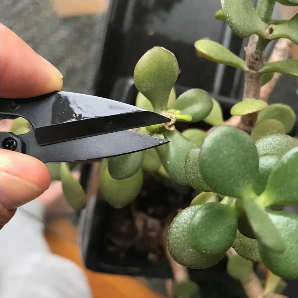 Durable Pruning Shears for Precision Garden Trimming - Smarsty