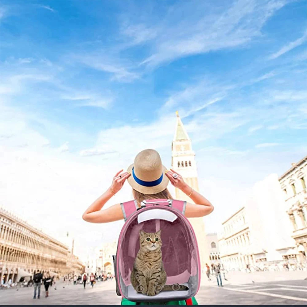 Transparent Capsule Cat Backpack for Travel and Comfort - Smarsty