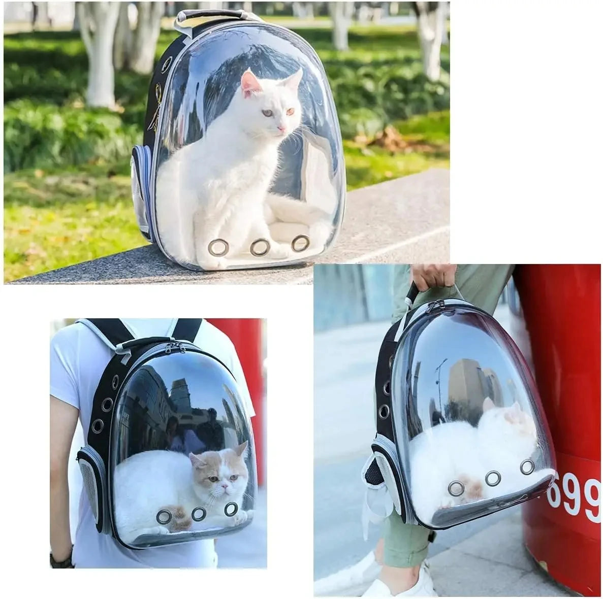 Transparent Capsule Cat Backpack for Travel and Comfort - Smarsty