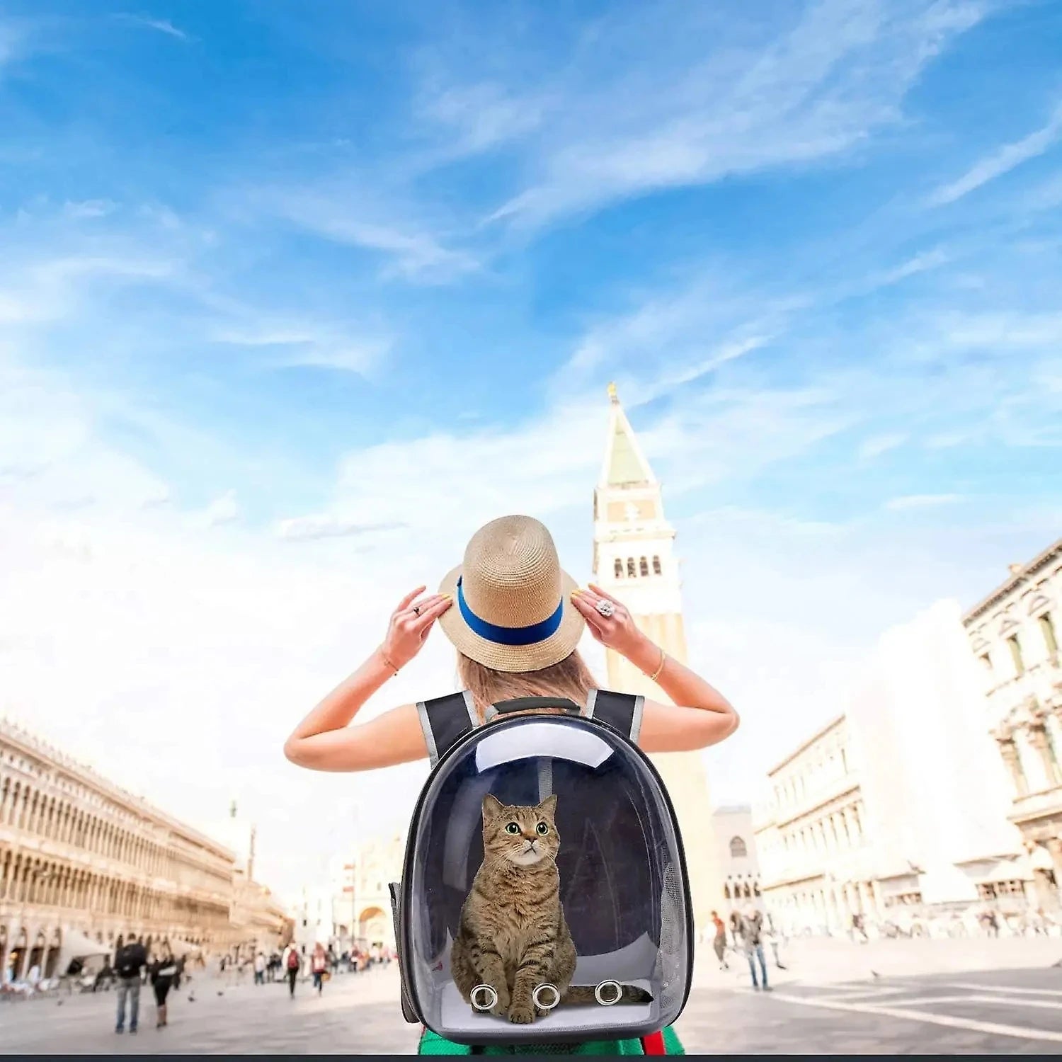 Transparent Capsule Cat Backpack for Travel and Comfort - Smarsty
