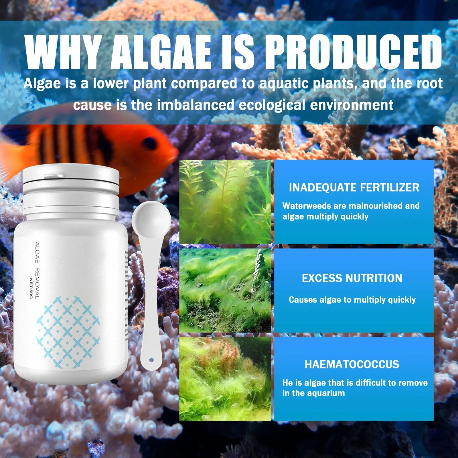 Algae Removal Tablets for Clean Aquariums - Smarsty