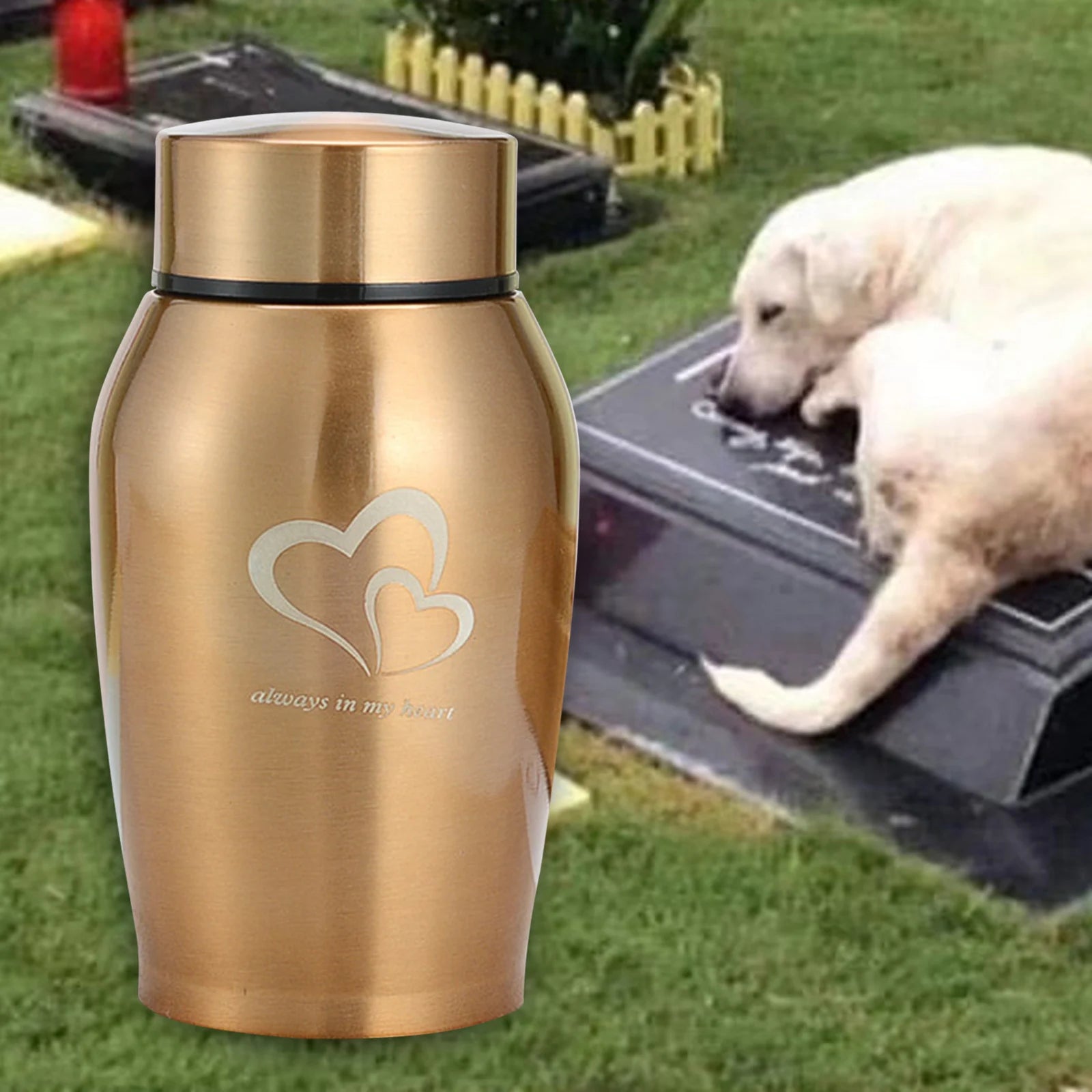 Portable Stainless Steel Pet Urn for Lasting Memories - Smarsty