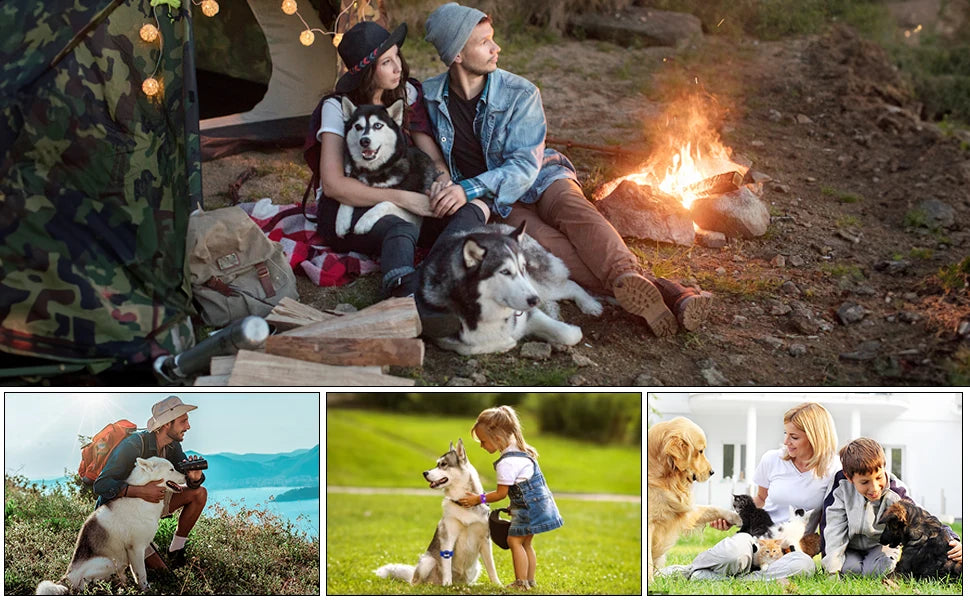 Ultrasonic Dog Bark Control Training Device with LED - Smarsty