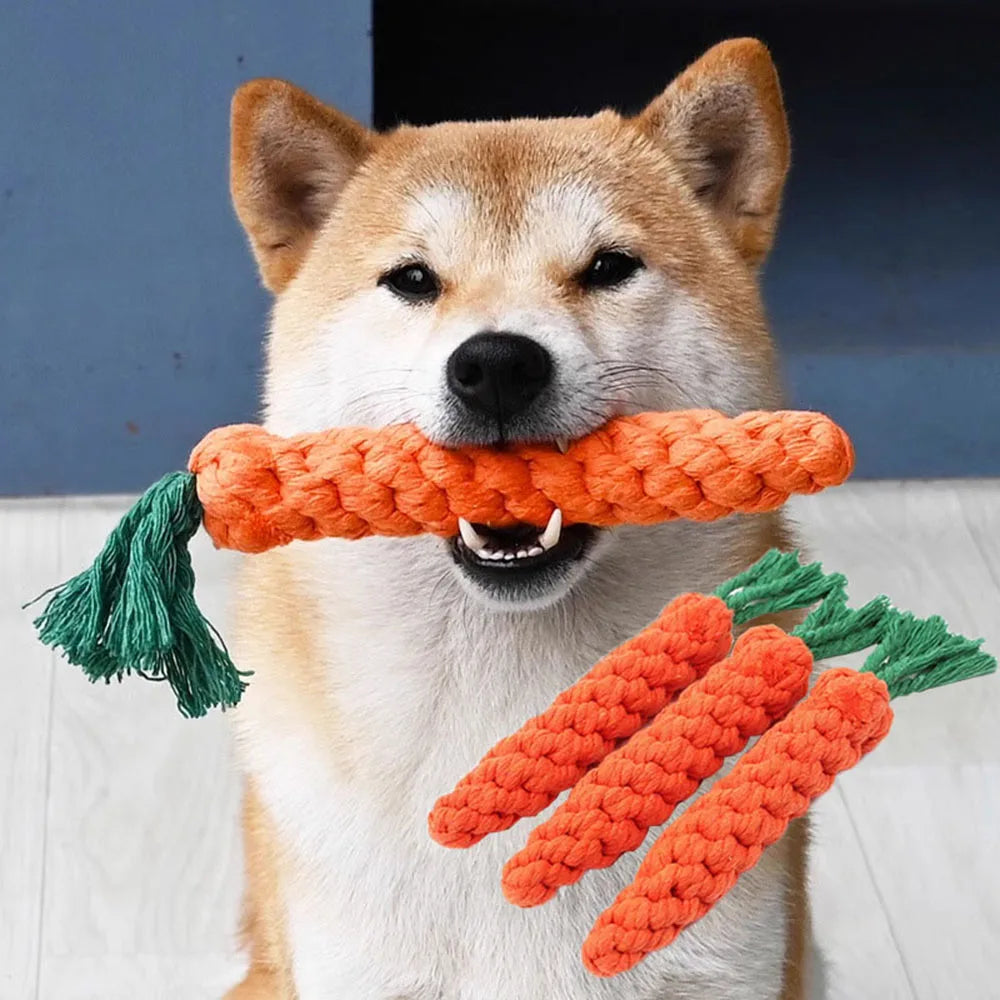 Durable Cotton Rope Dog Chew Toy for Teeth Cleaning - Smarsty