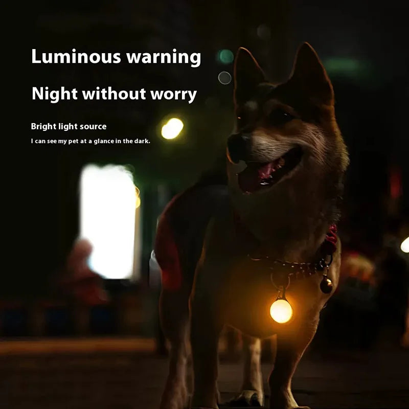 Luminous LED Dog Cat Collar for Night Safety - Smarsty