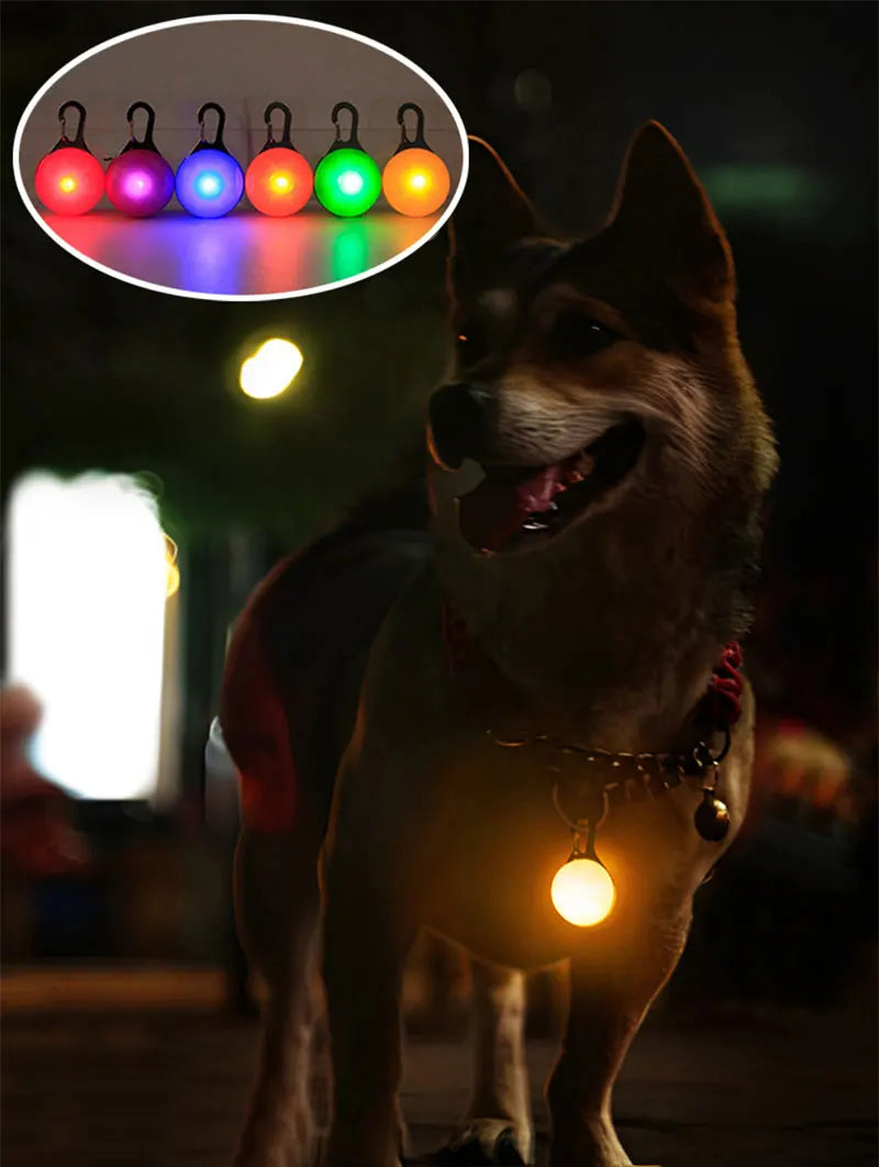 Luminous LED Dog Cat Collar for Night Safety - Smarsty