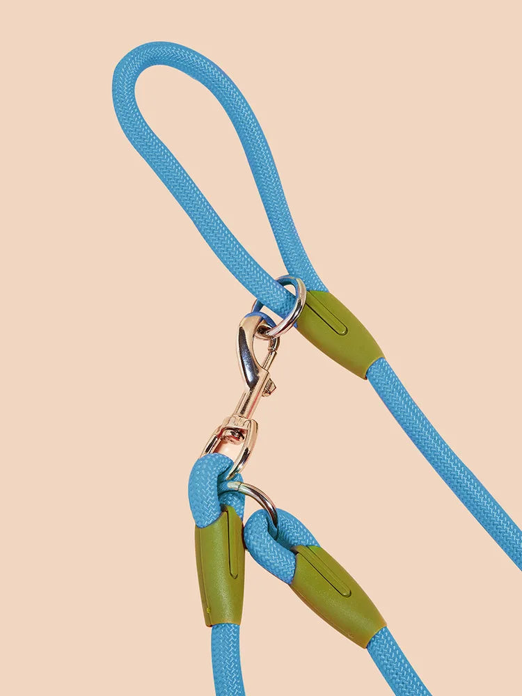 Reflective Nylon Hands Free Dog Leash for Running - Smarsty
