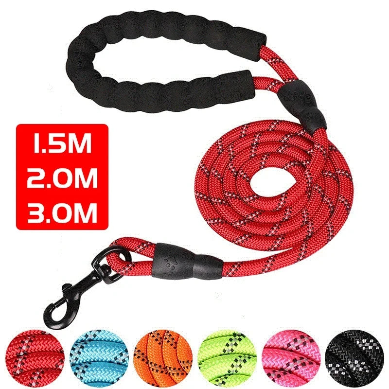 Reflective Dog Leash with Padded Handle for Safety - Smarsty