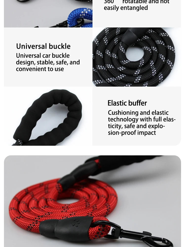 Reflective Dog Leash with Padded Handle for Safety - Smarsty