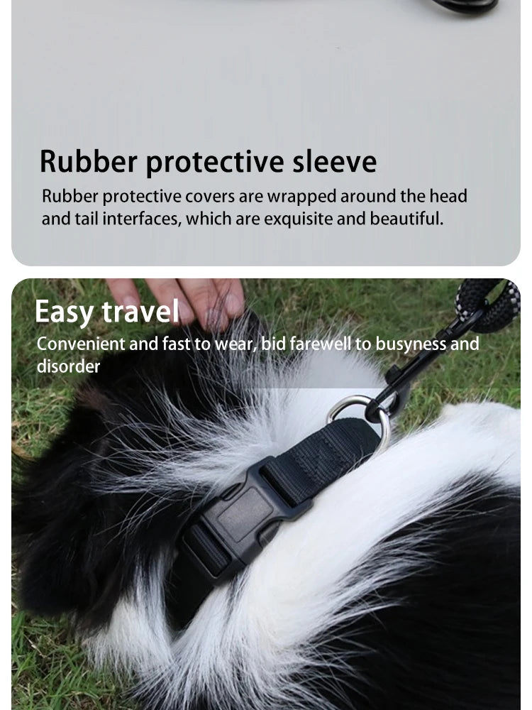 Reflective Dog Leash with Padded Handle for Safety - Smarsty