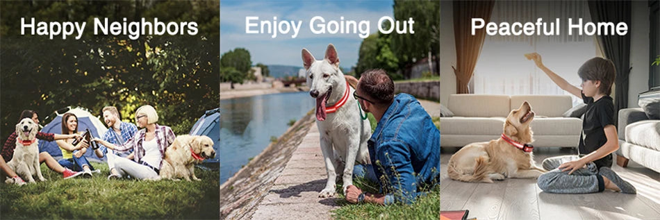 ROJECO 1000 Meter Electric Dog Training Collar Rechargeable Control - Smarsty