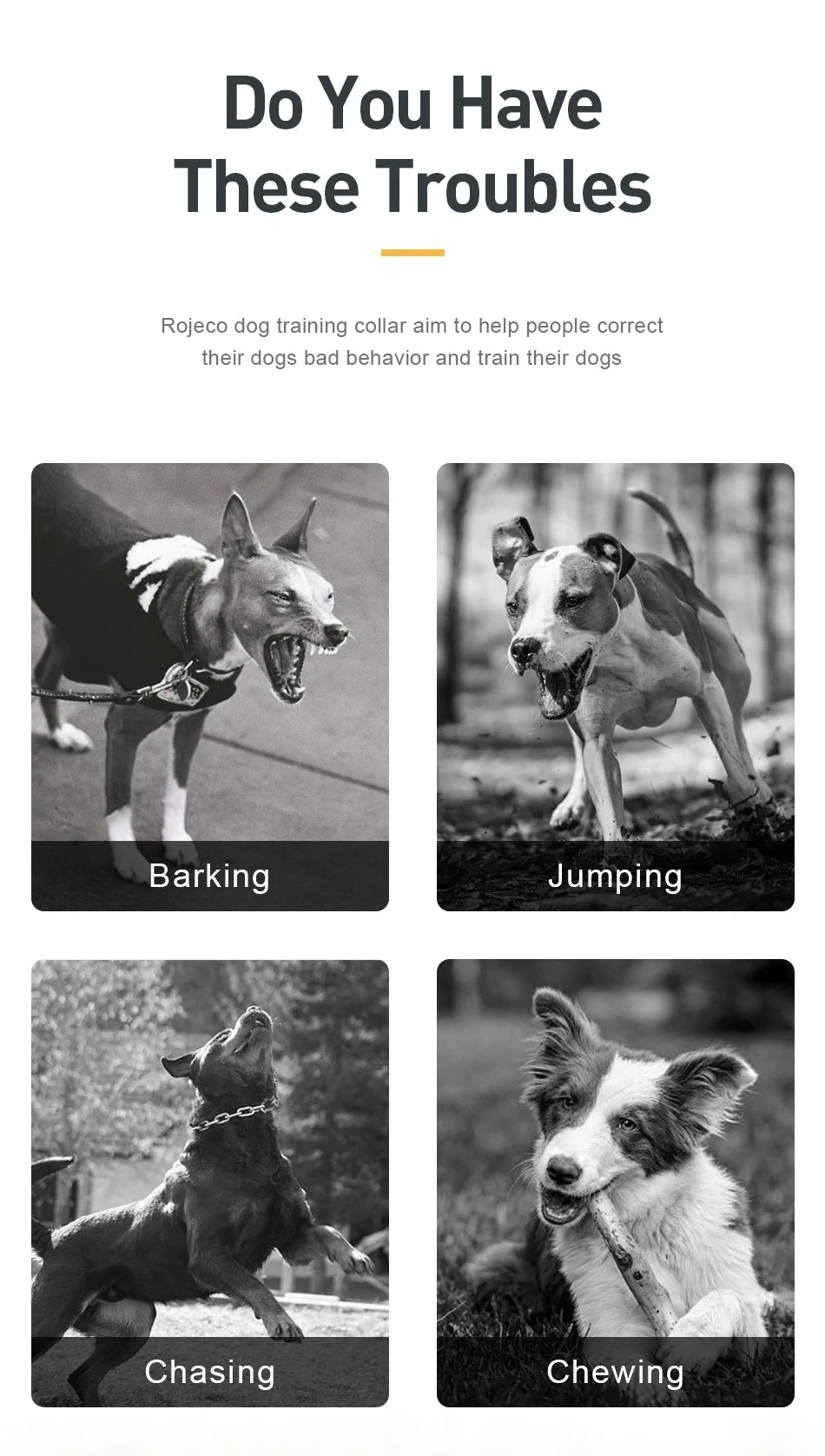 ROJECO 1000 Meter Electric Dog Training Collar Rechargeable Control - Smarsty