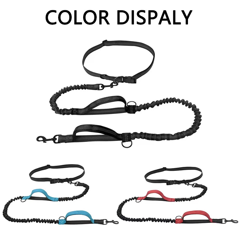 Reflective Hands-Free Dog Leash With Dual Handles - Smarsty