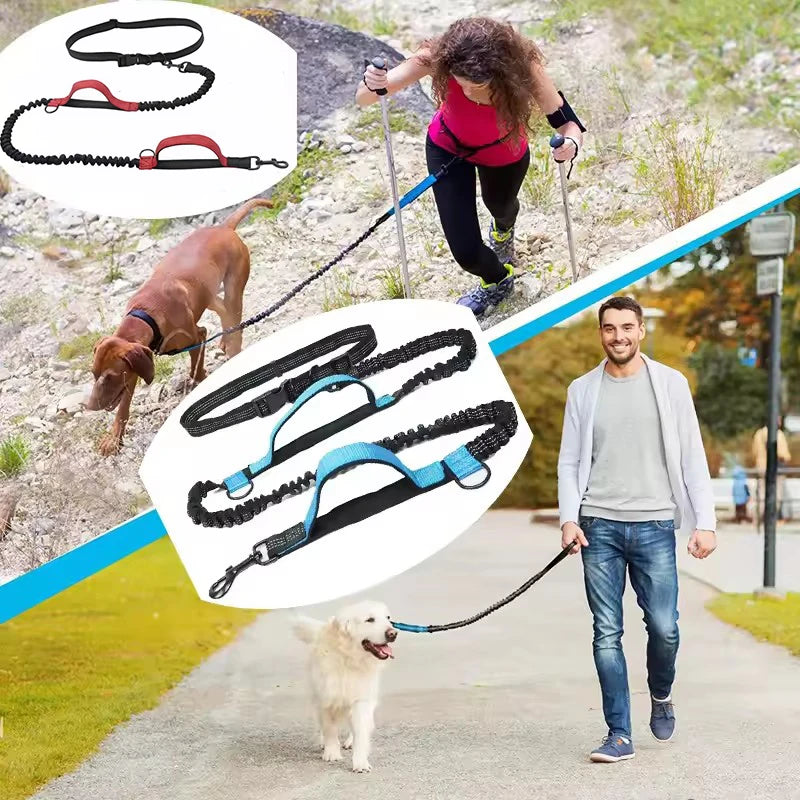 Reflective Hands-Free Dog Leash With Dual Handles - Smarsty