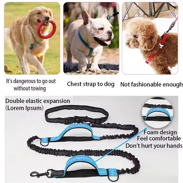 Reflective Hands-Free Dog Leash With Dual Handles - Smarsty