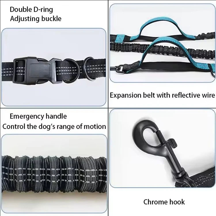 Reflective Hands-Free Dog Leash With Dual Handles - Smarsty