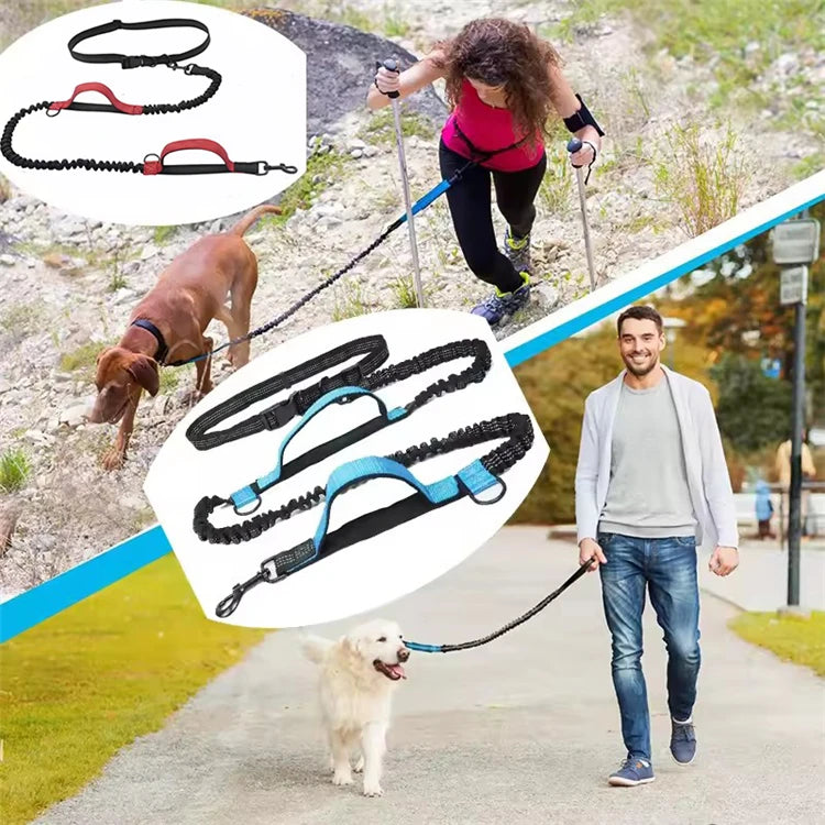 Reflective Hands-Free Dog Leash With Dual Handles - Smarsty
