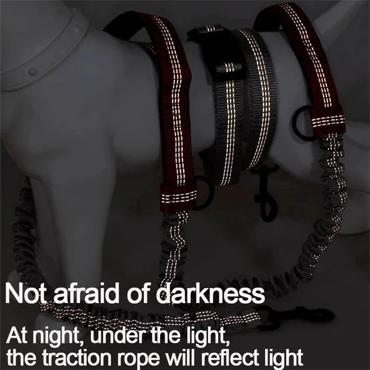 Reflective Hands-Free Dog Leash With Dual Handles - Smarsty