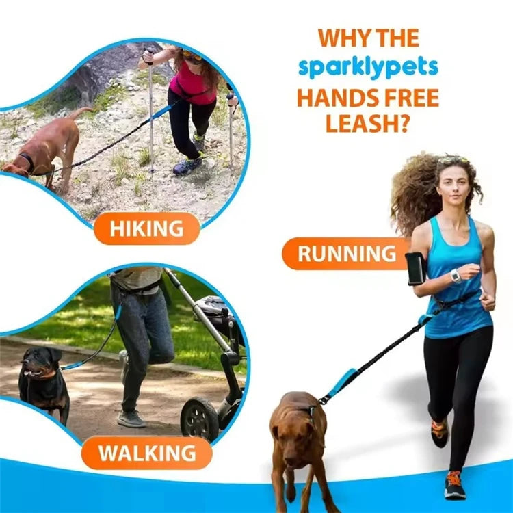 Reflective Hands-Free Dog Leash With Dual Handles - Smarsty