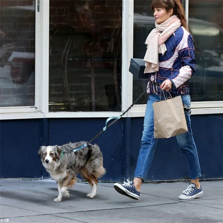 Reflective Hands-Free Dog Leash With Dual Handles - Smarsty