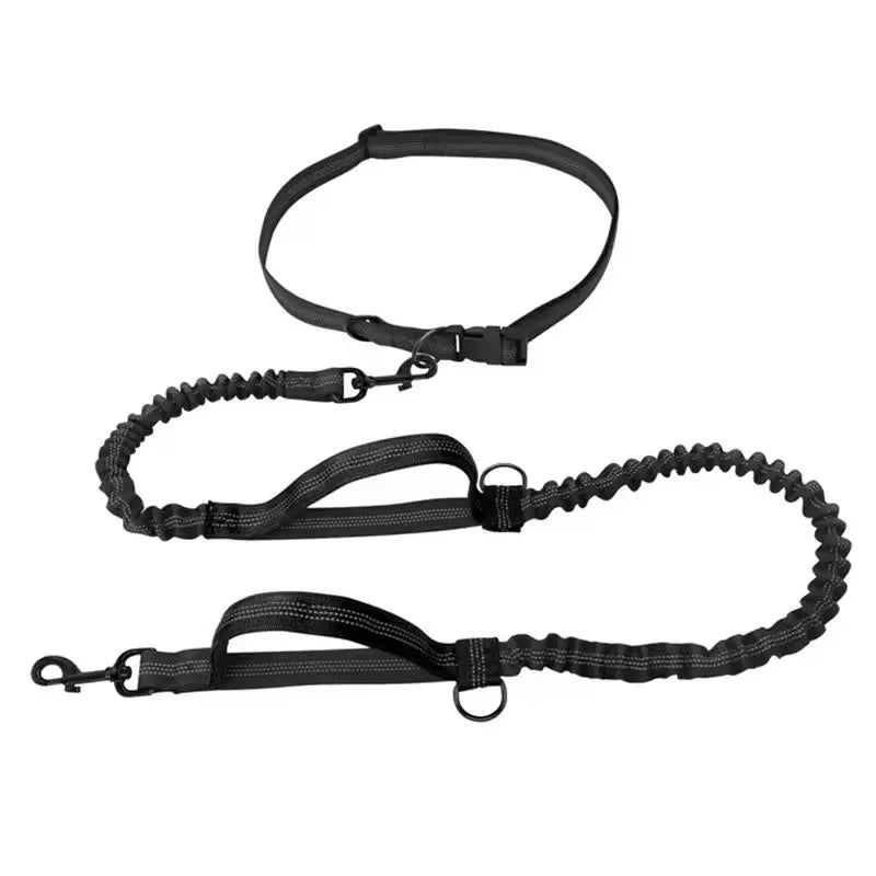 Reflective Hands-Free Dog Leash With Dual Handles - Smarsty