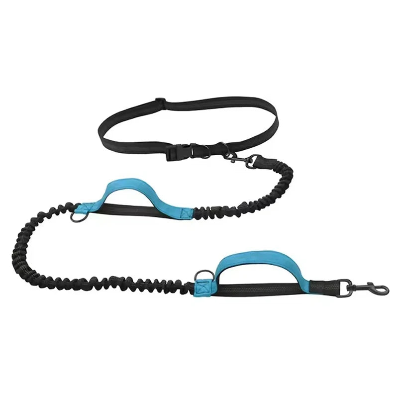 Reflective Hands-Free Dog Leash With Dual Handles - Smarsty