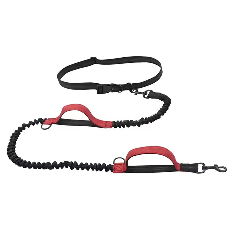 Reflective Hands-Free Dog Leash With Dual Handles - Smarsty