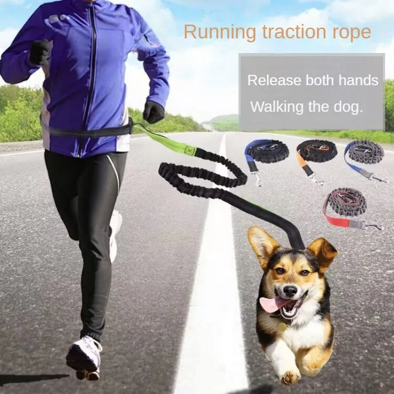 Hands Free Dog Leash Adjustable Waist Belt for Walking - Smarsty