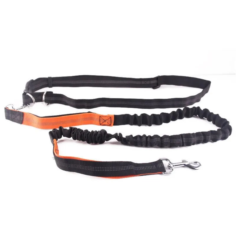 Hands Free Dog Leash Adjustable Waist Belt for Walking - Smarsty