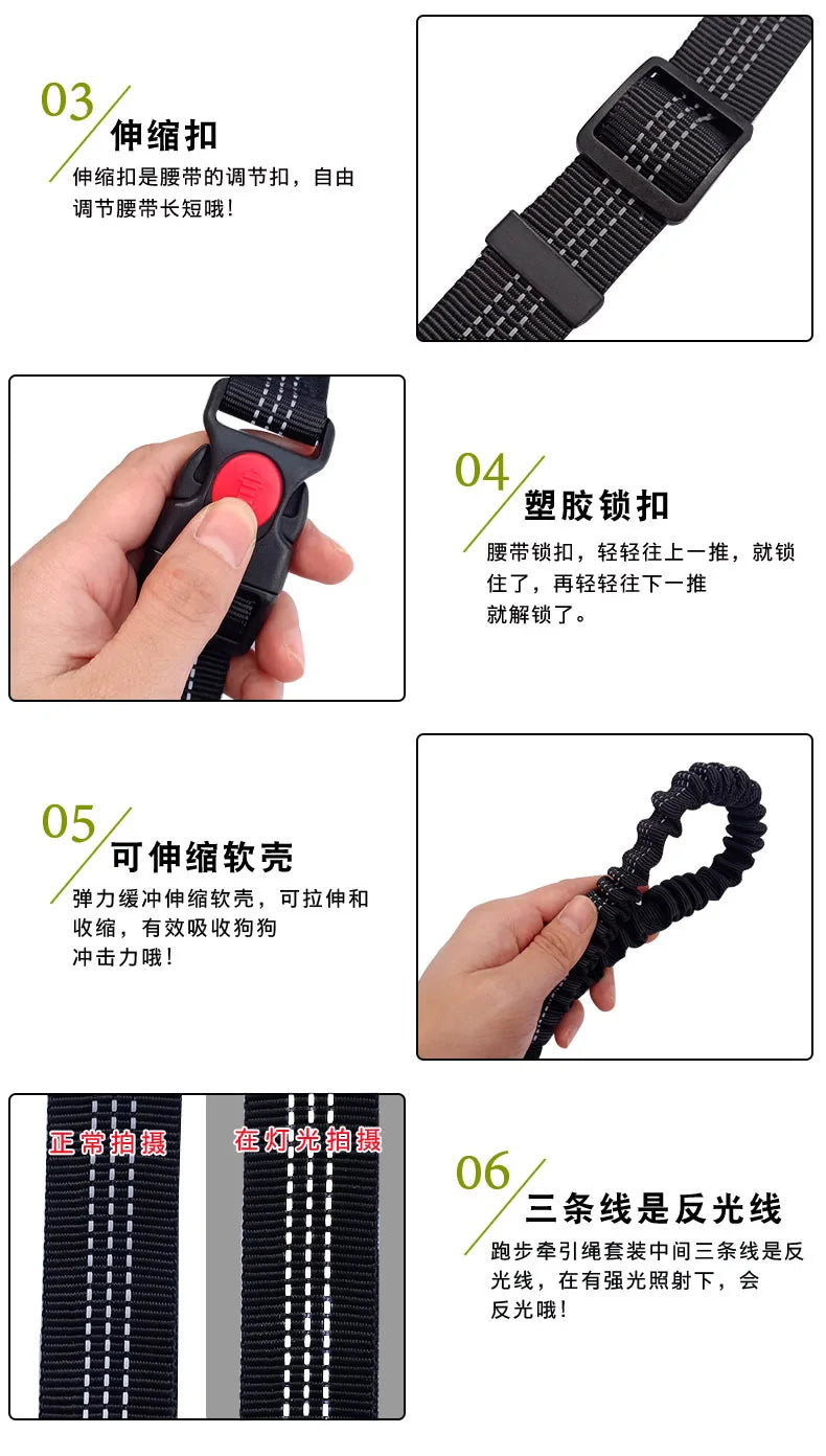 Hands Free Dog Leash Adjustable Waist Belt for Walking - Smarsty