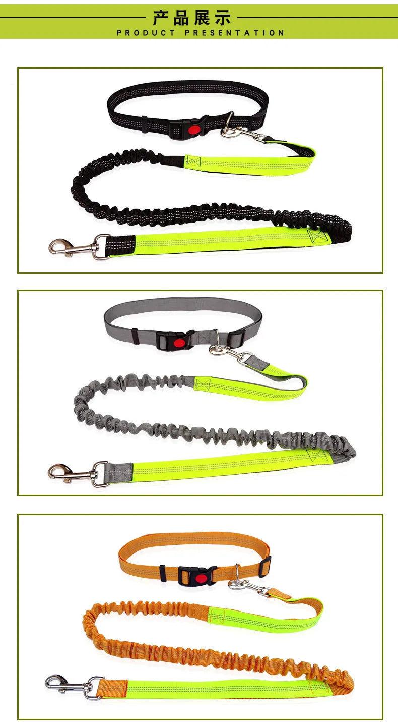 Hands Free Dog Leash Adjustable Waist Belt for Walking - Smarsty