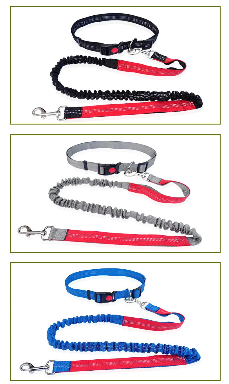 Hands Free Dog Leash Adjustable Waist Belt for Walking - Smarsty
