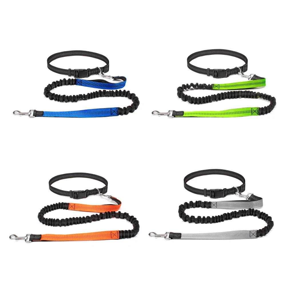 Hands Free Dog Leash for Comfortable Walking and Running - Smarsty