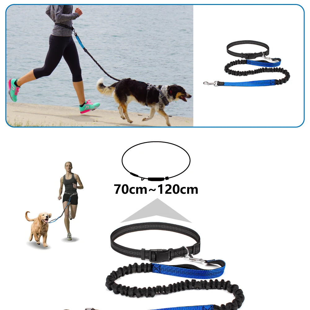 Hands Free Dog Leash for Comfortable Walking and Running - Smarsty