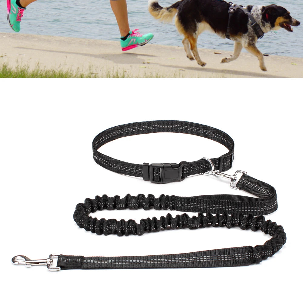 Hands Free Dog Leash for Comfortable Walking and Running - Smarsty