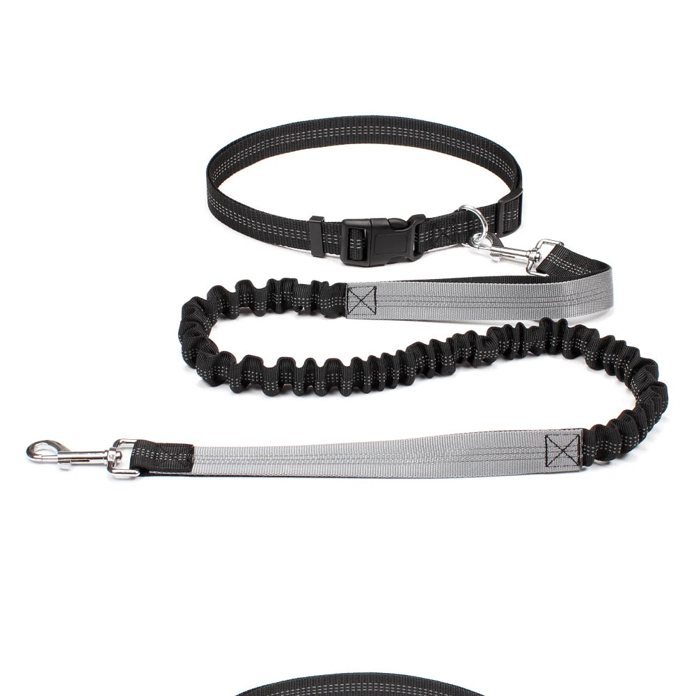 Hands Free Dog Leash for Comfortable Walking and Running - Smarsty