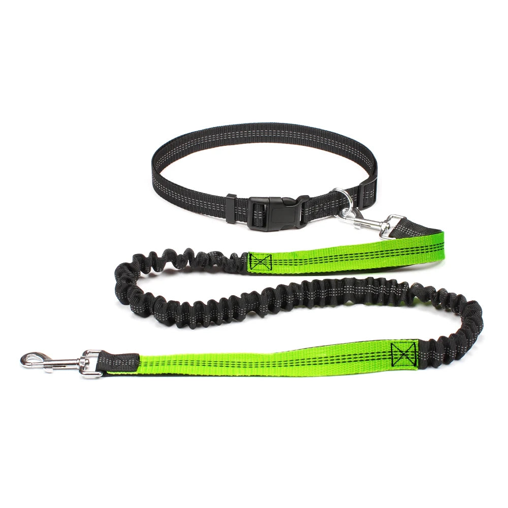 Hands Free Dog Leash for Comfortable Walking and Running - Smarsty