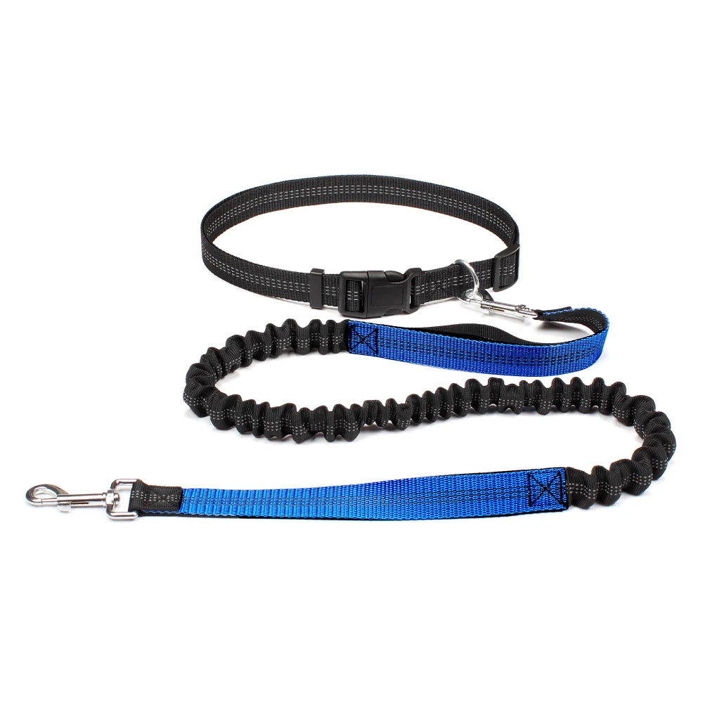 Hands Free Dog Leash for Comfortable Walking and Running - Smarsty
