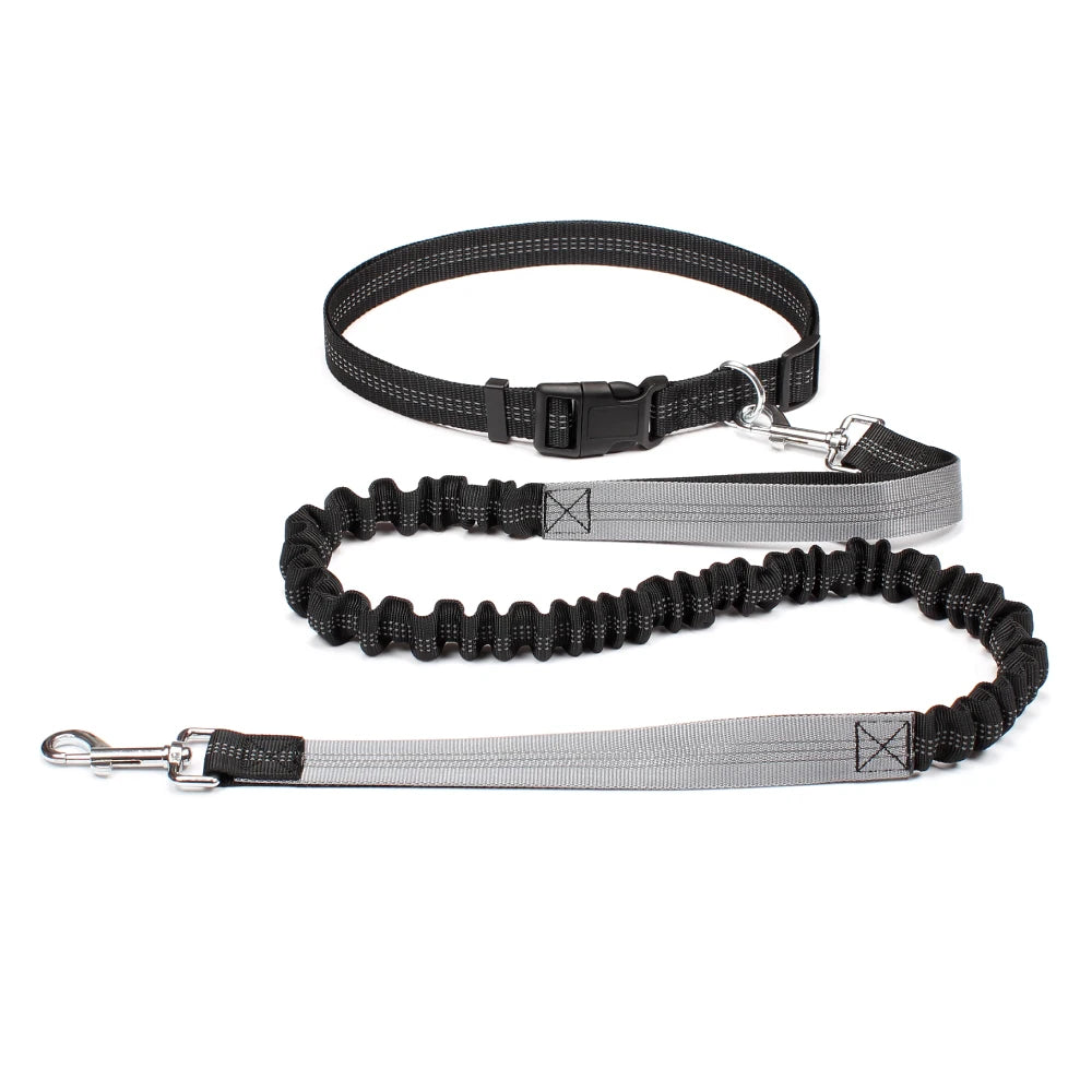Hands Free Dog Leash for Comfortable Walking and Running - Smarsty
