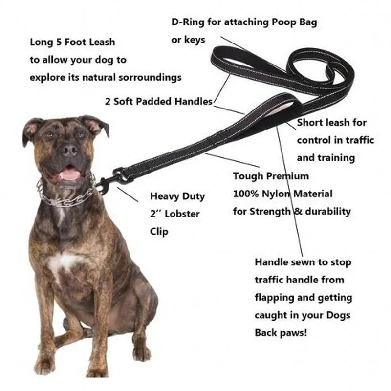 Heavy Duty Double Handle Nylon Dog Leash for Training Control - Smarsty