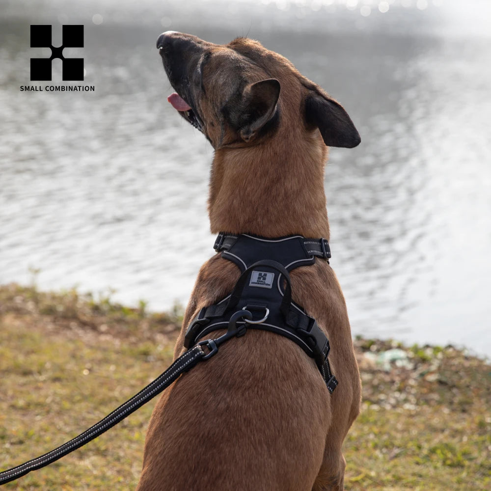 Personalized No Pull Reflective Dog Harness for All Sizes - Smarsty