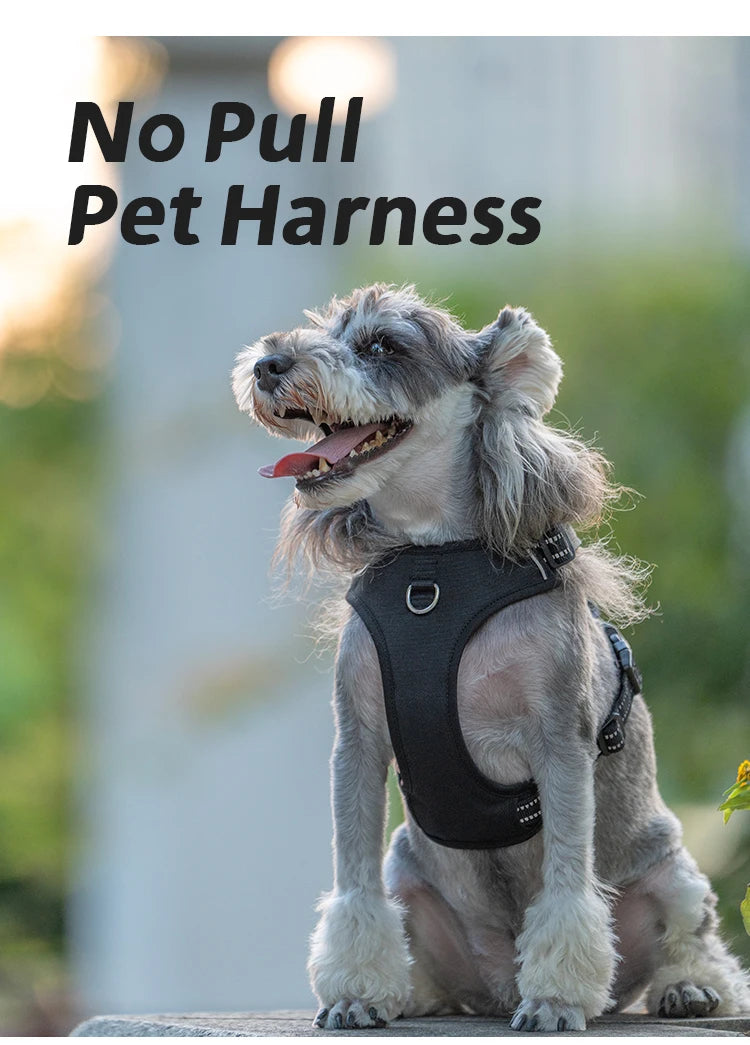 Personalized No Pull Reflective Dog Harness for All Sizes - Smarsty