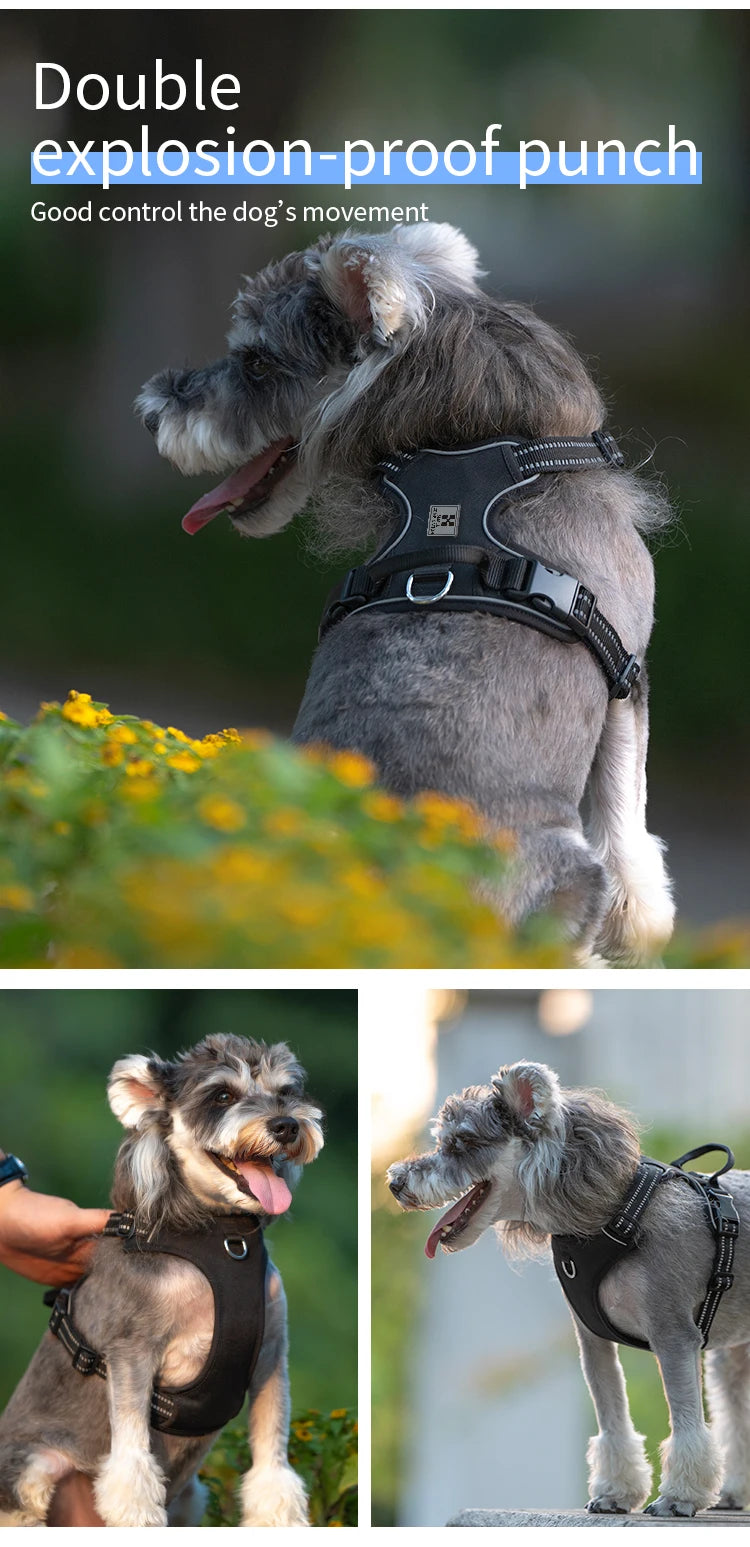 Personalized No Pull Reflective Dog Harness for All Sizes - Smarsty