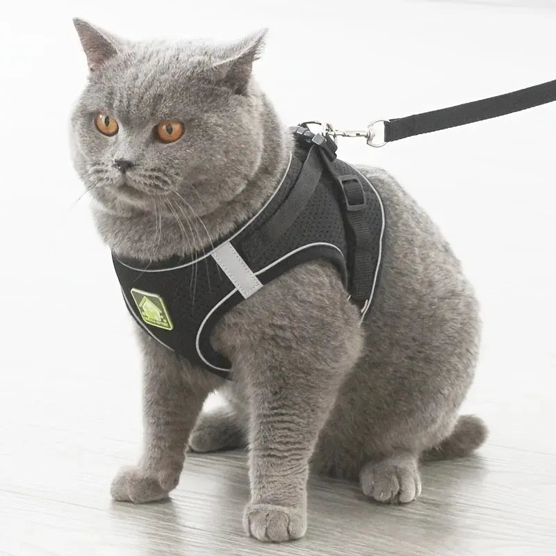 Reflective Dog and Cat Harness with Leash Set - Smarsty
